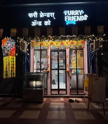 Heads Up For Tails Store