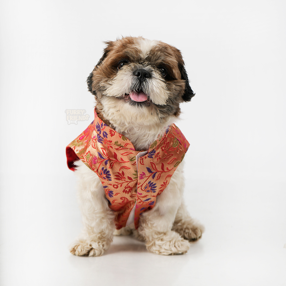 Multi color and rust kurta (koti kurta set)