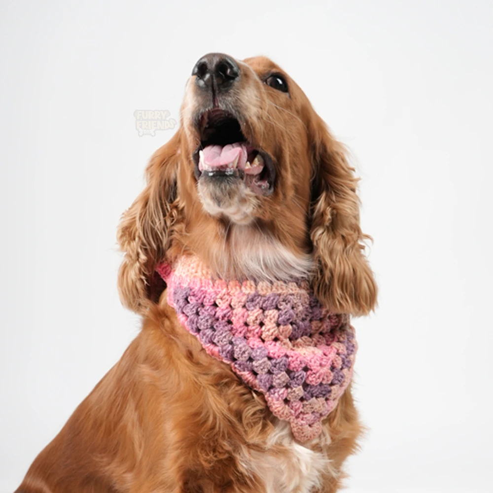 Dual Color Crochet Bandana