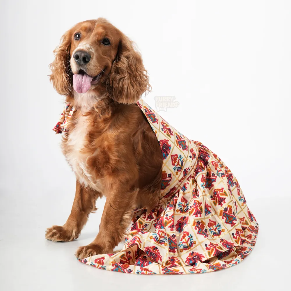 White Patola Female Dress