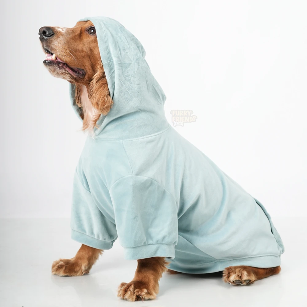 Soft Dog Hoodie