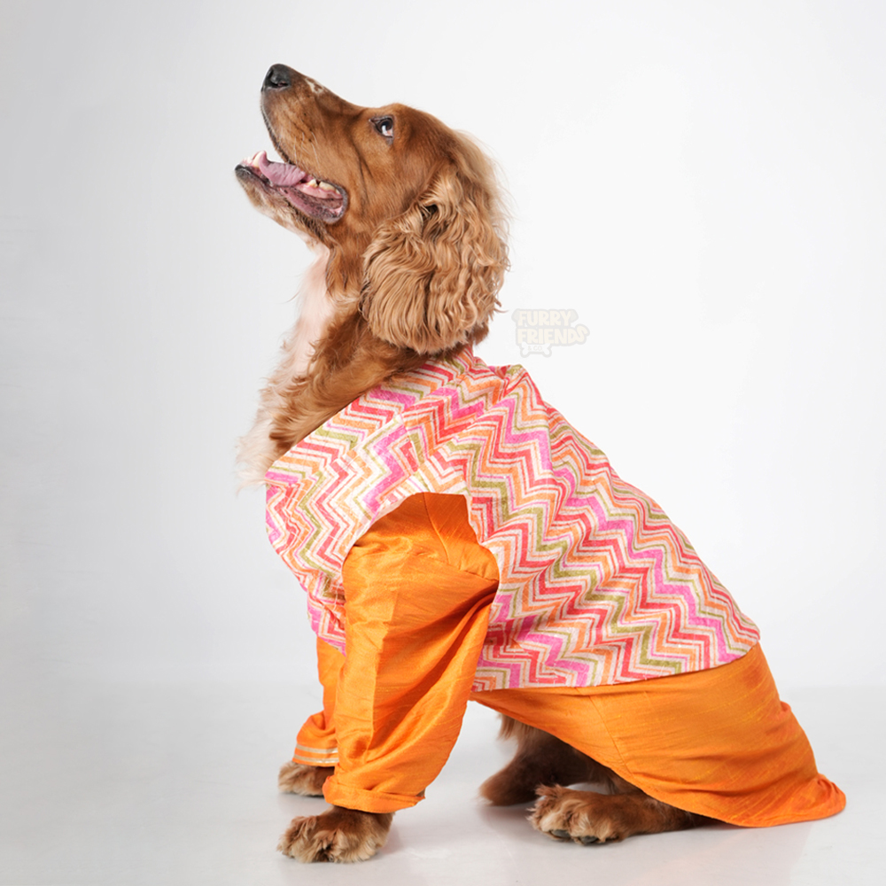 Orange full koti style