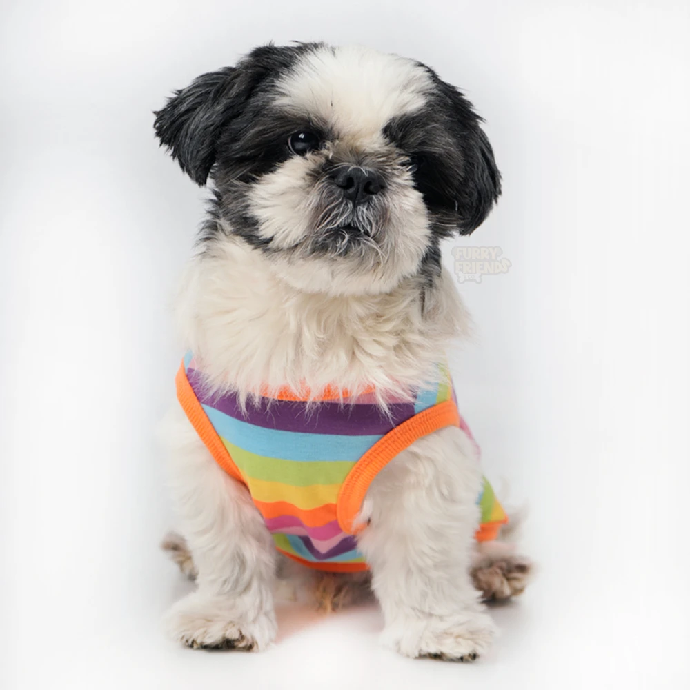 Rainbow Sleeveless t-shirt