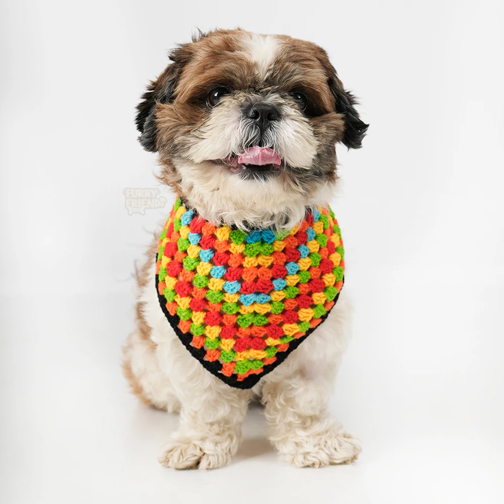 Multicolor Crochet Bandana