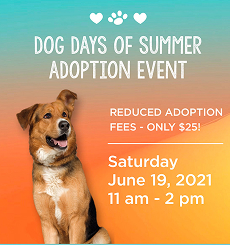 Paw-sitive Parenting: New Pet Owner Workshop