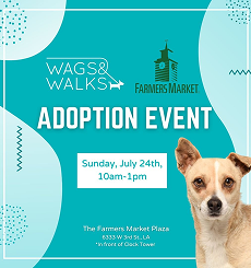 Paw-sitive Parenting: New Pet Owner Workshop