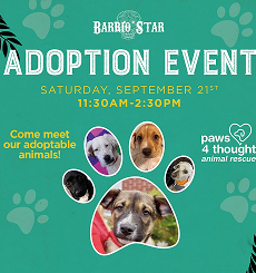 Paw-sitive Parenting: New Pet Owner Workshop