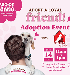 Paw-sitive Parenting: New Pet Owner Workshop